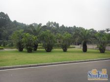 满五年的,天然氧吧内稀有大别墅,私密性好