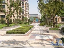 韩国街热门电梯房,自住精装,高区,采光视野好