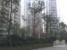 时代晶科名苑 2室1厅 东