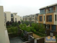 花园别墅 静谧优美 悠闲漫步于林中小道