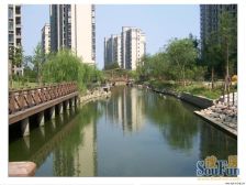 精装 入住快,电梯房,新上房源