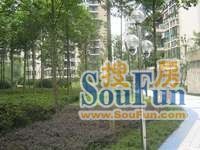 石坪桥 怡然大厦一房26万