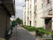 新成八坊 2室1厅 南 北