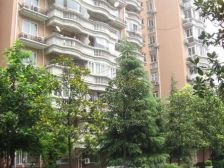 此房满五年,楼层好,3轨交汇,商圈配套齐全!