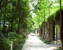 鹭岛国际一二期 4室2厅 南