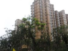 2+1三房 采光好 临湖 精装修