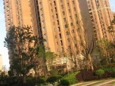带产权车位,电梯房 中间楼层 新上房源