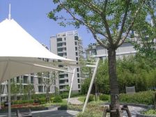 杨思前滩,中环内原始三房两厅,南北通透,诚意出售