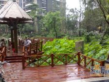 浅水半岛三期 3室2厅 东南