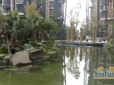 浅水半岛一期 3室2厅 西南