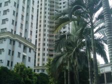 房子过五唯一,未来地铁口物业电梯大3房