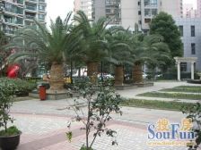 近地铁,电梯房,必看好房