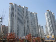 新出大户型/3房朝南 带大阳台 客厅直面上海大夏