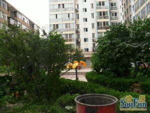 万辉旁春天佳苑1楼