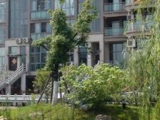 纯翠苑 2室1厅 南 北