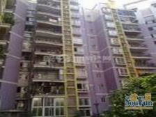 跃层两房 户型方正无浪费 中间楼层采光好