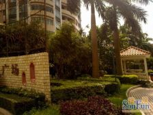 长安公园旁边 莲花广场 朝南三房 带车位出售