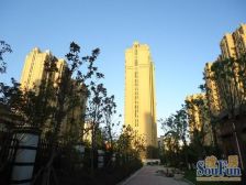 产权清晰,现场实勘中间楼层业主诚意