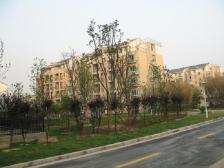 润渡佳苑 3室2厅 南