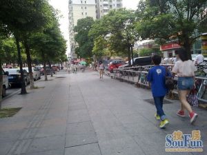 明珠广场四房南北对流户型高层视野景观房