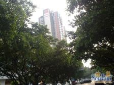 南北对流,景观好,满五唯一,免个税,诚心卖