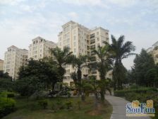 紫荆地下花园 三房 花园可以溜冰的那种哟