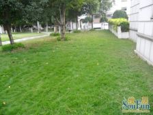 独栋别墅,带大花园,价格不设限,可大刀。