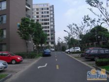 奥林匹克花园 1室2厅 南 北