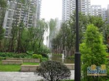 中交清水两房,采光好,视野佳。带阳台。