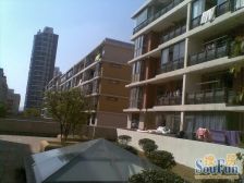 电梯洋房,小区前排采光好,户型方正