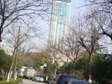 塘桥·蓝高小区·1室·1厅