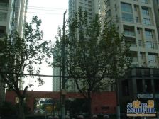 满五年税费少,楼层好,飞机户型,大三房