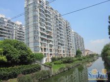 景观楼层高区视野采光好满五年南北通