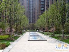 御桥地杰3+1房,飞机户型,视野开阔,中间楼层