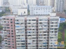 电梯房+朝南采光+精装修+温馨小户型+近轨交