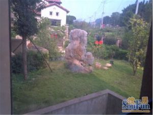 望庄3室2厅南
