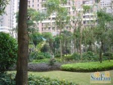 电梯高层,实木精装,端头大3房,视野开阔,满2年