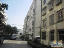 金桥路530弄3室1厅南北