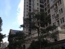 路易新上架+边套全明+两卫+小区好位置+满五年+方便看