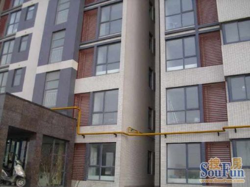 苏建阳光新城2室2厅1卫南朝向1000.00元/月出租