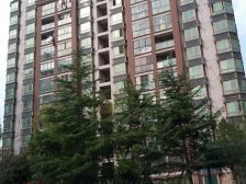 双南,厅大带阳台,视野好户型好位置佳