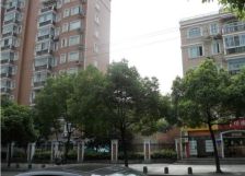 中间楼层电梯房,精装店长力推