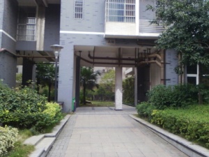红区抽屉1室1厅南