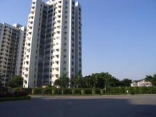 此房满五唯一带装修出售 采光充足 靠海洋房 复式户型