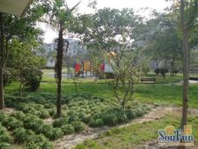 谈家港花苑一村 3室2厅 南 北