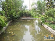 临河房源,开窗见绿。风景好,价格好