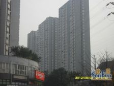 一城龙洲 3室2厅 东 西