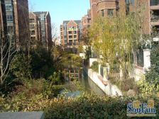 前排,无遮挡,采光好,使用面积多,拎包入住