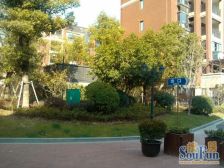 美兰湖景区,精装底复,看房方便