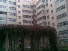 雁滩大润发 宁安小区 小户型低楼层,看房随时方便